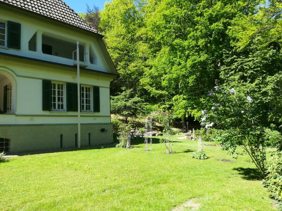 Willa Gutshaus Wilhelmsruh Möhnesee Zewnętrze zdjęcie